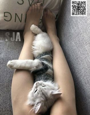 三d肉蒲团_BD国语在线视频播放