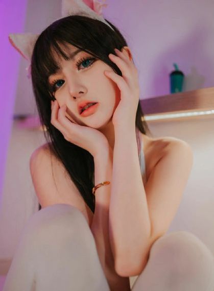 异域档案之暹罗密码_HD动漫在线观看